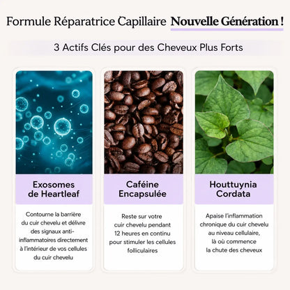 Kleeya™ Sérum Coréen Pousse & Densité